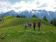 50 Dal sentiero 117 passiamo sul 118 per il Passo di Monte Colle